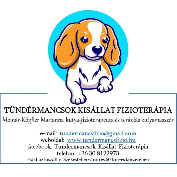 Tündérmancsok Kisállat Fizioterápia (Molnár-Köpfler Marianna)