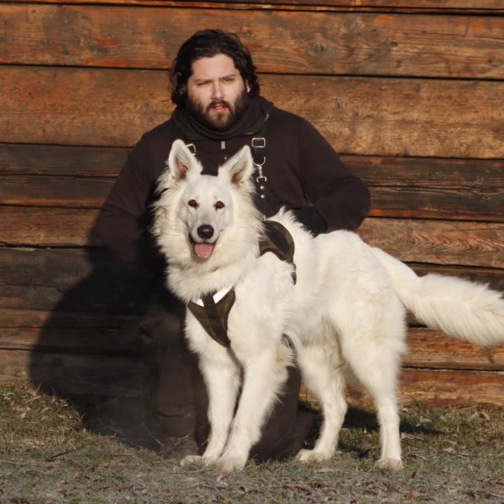 Iván Dávid kutyakiképző