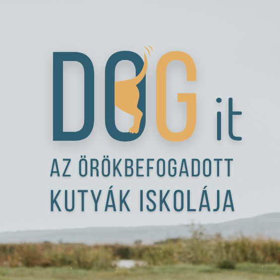 DOG it! kutyaiskola