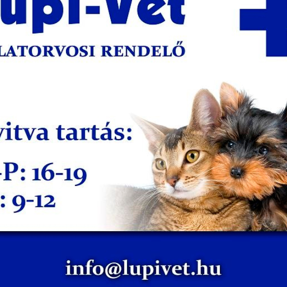 Lupivet Rendelő