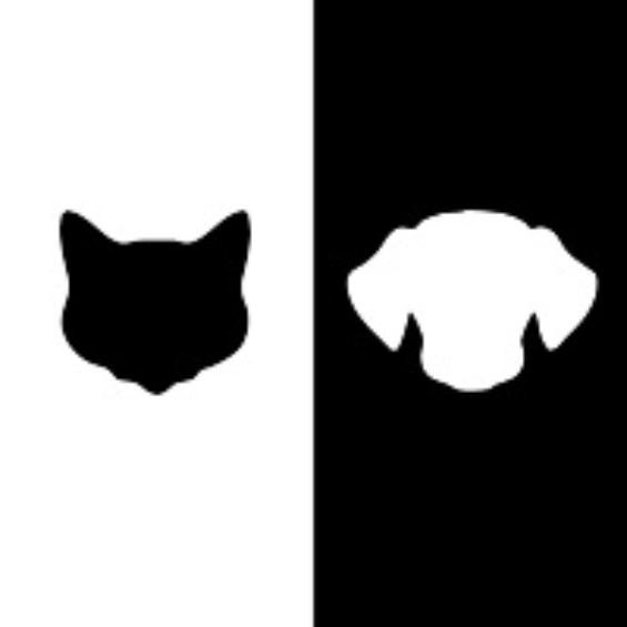 Black Cat & White Dog