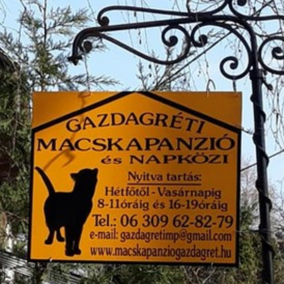 Gazdagréti macskapanzió és napközi