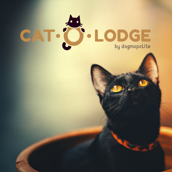 Cat-O-Lodge Cicapanzió és Cicanapközi SZENTENDRE