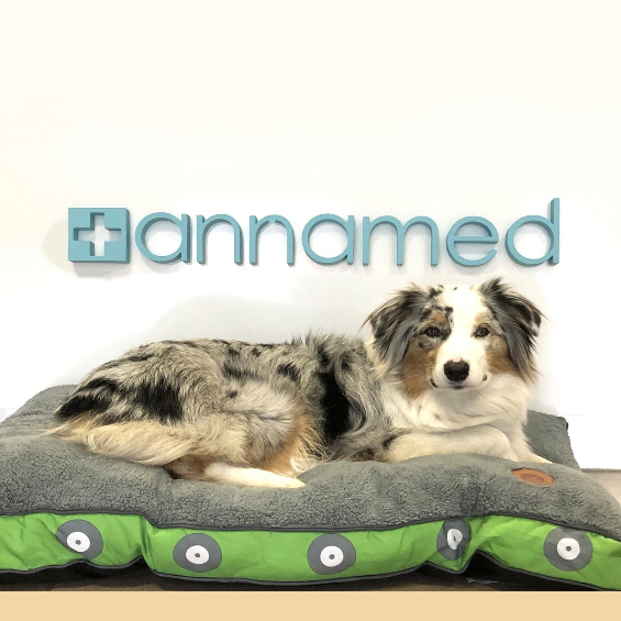 AnnaMed Állatpatika és Petshop