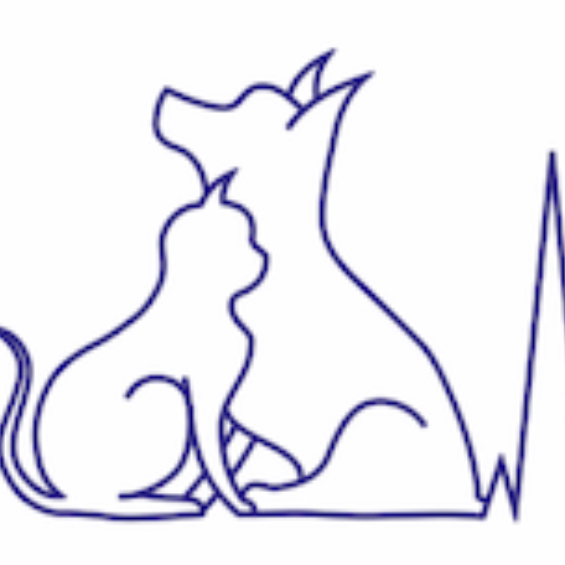 CsertiVet Állatorvosi Rendelő