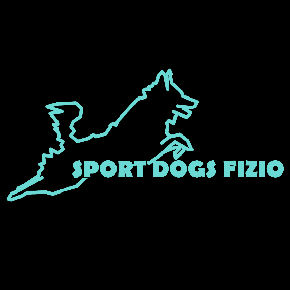 Sport Dogs Fizio