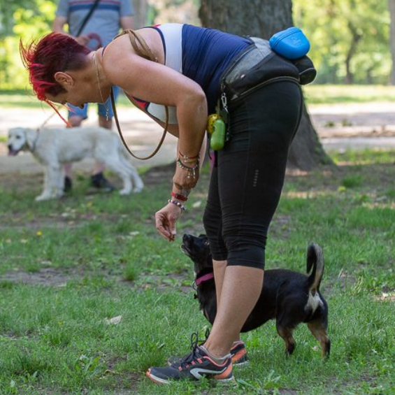 Kiss Enikő kutyakiképző