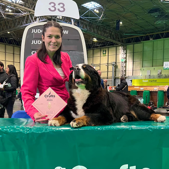 Janka berni pásztorkutya szakkozmetika/ kutyakozmetika/ Gödöllő, Szőlő u 34.