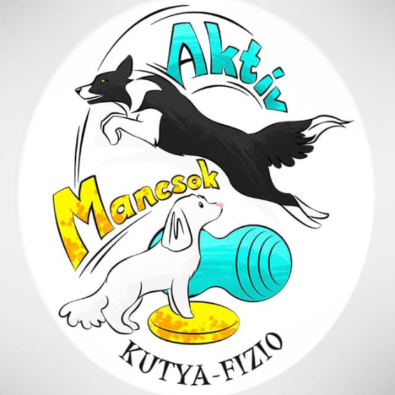 Aktív Mancsok Kutya-fizioterápia