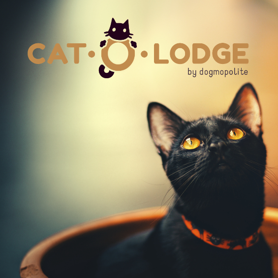 Cat-O-Lodge Cicapanzió és Cicanapközi SZIGETSZENTMIKLÓS