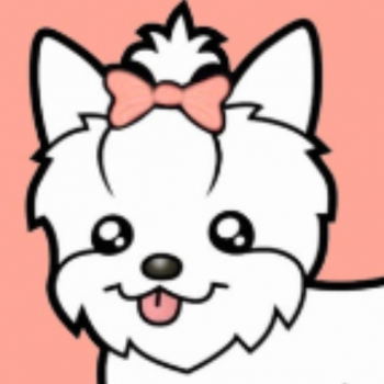 a Masnis Kutyakozmetika