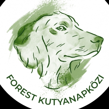 Forest Kutyanapközi