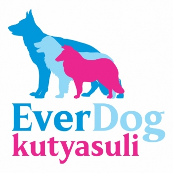 EverDog Kutyasuli