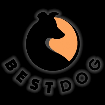 Best Dog Kutyaközpont