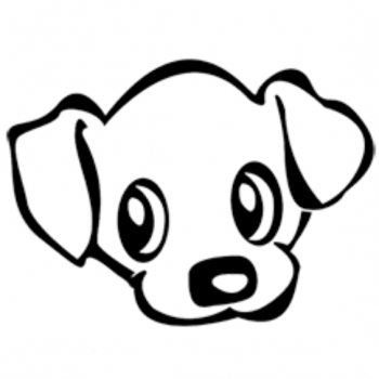 Szőrkuckó - Kutyakozmetika a XV. kerületben