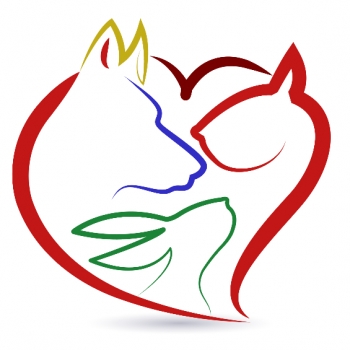 BAVET Állatorvosi rendelő