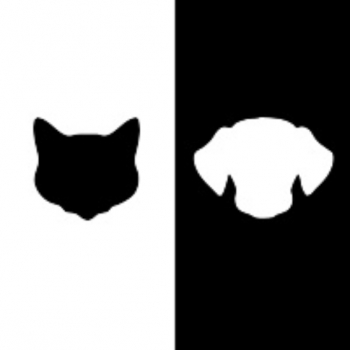 Black Cat & White Dog
