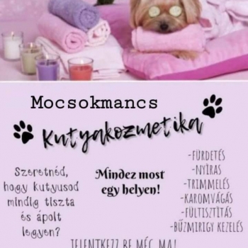 Mocsokmancs kutyakozmetika