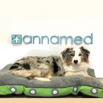 AnnaMed Állatpatika és Petshop