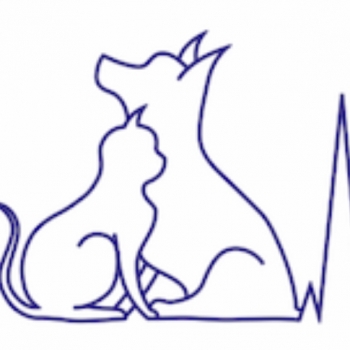 CsertiVet Állatorvosi Rendelő