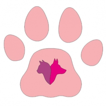 Kutyakozmetikaexpress