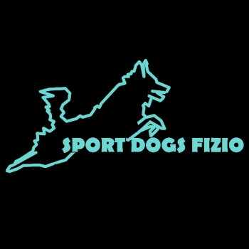 Sport Dogs Fizio