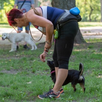 Kiss Enikő kutyakiképző