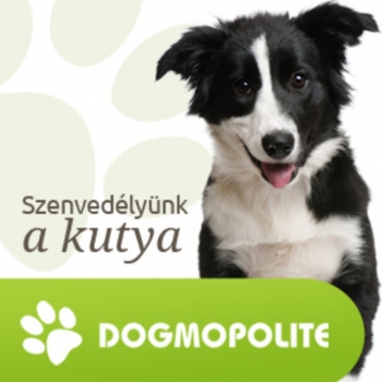 Dogmopolite Kutyakozmetika PEST