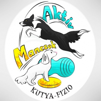 Aktív Mancsok Kutya-fizioterápia