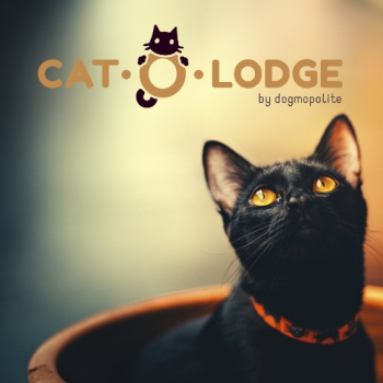 Cat-O-Lodge Cicapanzió és Cicanapközi SZIGETSZENTMIKLÓS