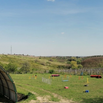 Egri Kutyasport Központ